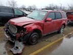 2008 Ford Escape Limited