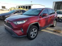 Salvage cars for sale at Riverview, FL auction: 2020 Toyota Rav4 XLE