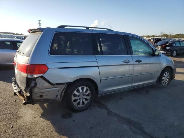 2010 Honda Odyssey EXL