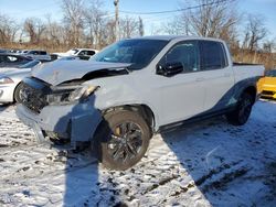 Salvage cars for sale at Marlboro, NY auction: 2024 Honda Ridgeline Sport