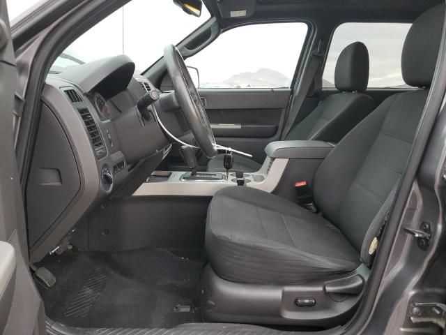 2009 Ford Escape XLT