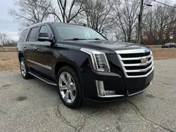 Cadillac salvage cars for sale: 2016 Cadillac Escalade Luxury