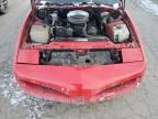 1991 Pontiac Firebird Base