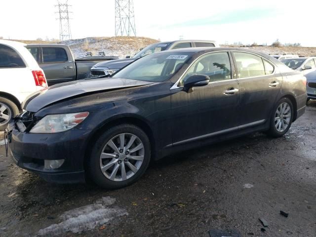 2010 Lexus LS 460