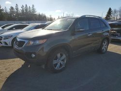 Salvage cars for sale from Copart Bowmanville, ON: 2012 KIA Sorento EX