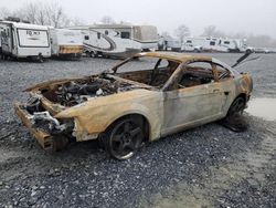 2004 Ford Mustang Cobra SVT en venta en Grantville, PA