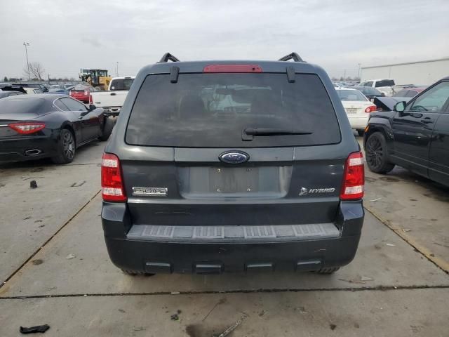 2008 Ford Escape HEV