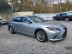 2022 Lexus ES 350 Base