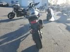 2023 Triumph Tiger 900 Rally PRO