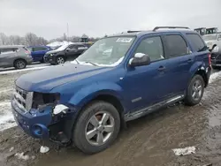 2008 Ford Escape XLT en venta en Duryea, PA