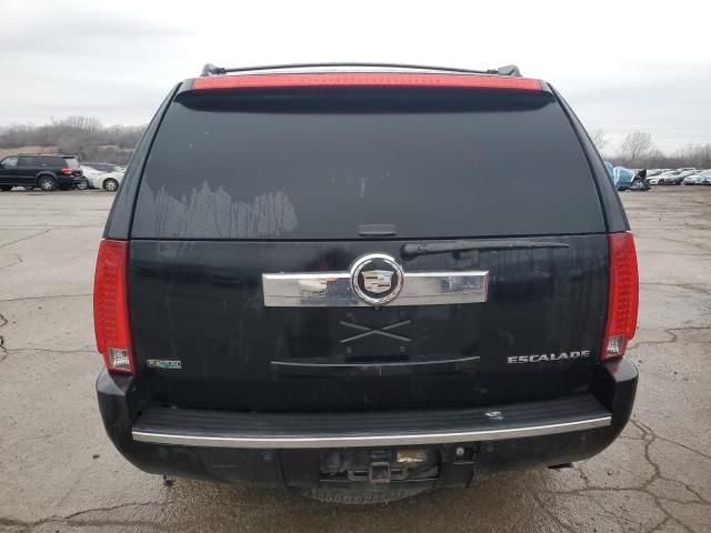 2010 Cadillac Escalade Luxury