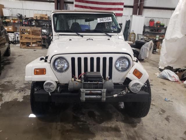 2002 Jeep Wrangler / TJ Sahara