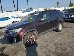 Salvage cars for sale at Van Nuys, CA auction: 2014 KIA Sorento LX