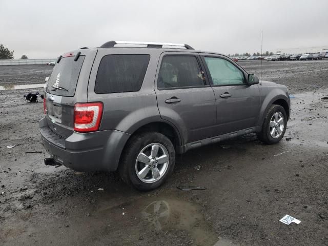 2012 Ford Escape Limited