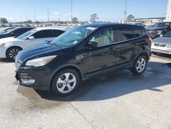 Ford Escape se salvage cars for sale: 2016 Ford Escape SE