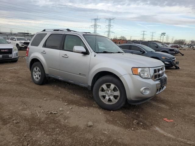 2010 Ford Escape Hybrid