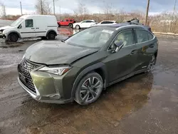 2020 Lexus UX 250H en venta en Montreal Est, QC