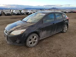 Salvage cars for sale at Helena, MT auction: 2013 Ford Focus SE