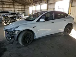 2021 Tesla Model Y en venta en Phoenix, AZ