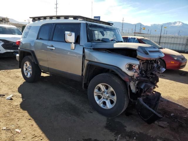 2010 Toyota FJ Cruiser