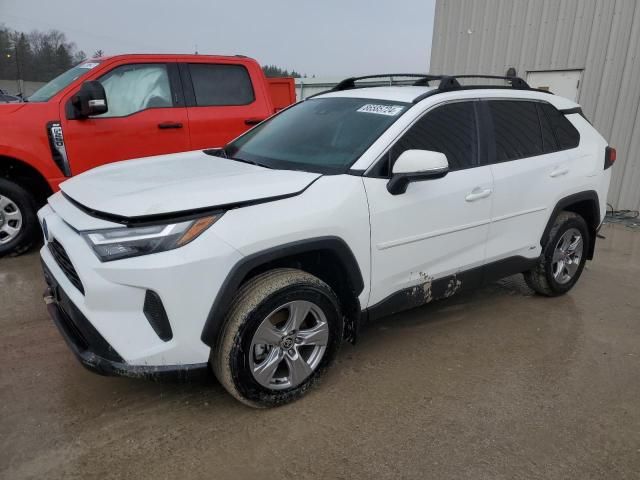 2024 Toyota Rav4 XLE