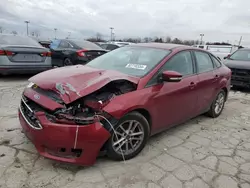 Ford salvage cars for sale: 2017 Ford Focus SE