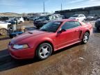 2000 Ford Mustang