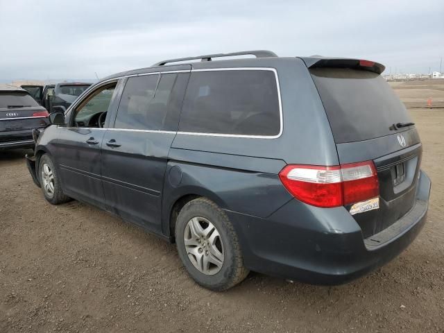 2005 Honda Odyssey EXL