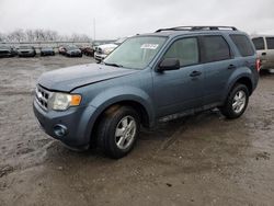 2011 Ford Escape XLT en venta en Earlington, KY