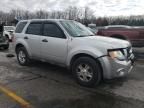 2012 Ford Escape XLS