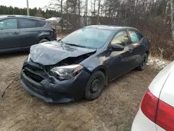 2014 Toyota Corolla L en venta en Montreal Est, QC