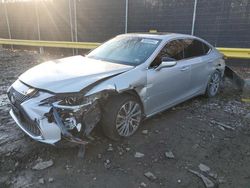 Salvage cars for sale at auction: 2019 Lexus ES 350