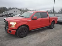 Salvage cars for sale at York Haven, PA auction: 2015 Ford F150 Supercrew