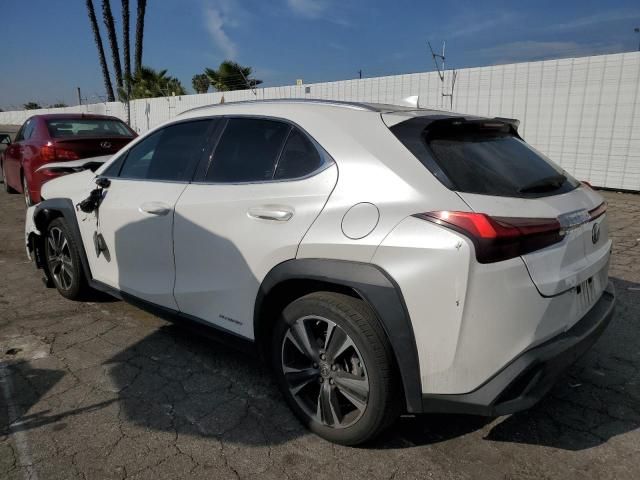 2019 Lexus UX 250H