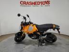 2024 Honda Grom 125