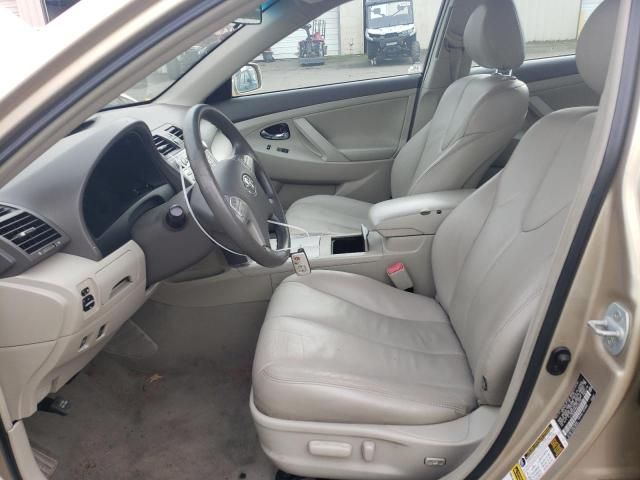 2010 Toyota Camry Hybrid