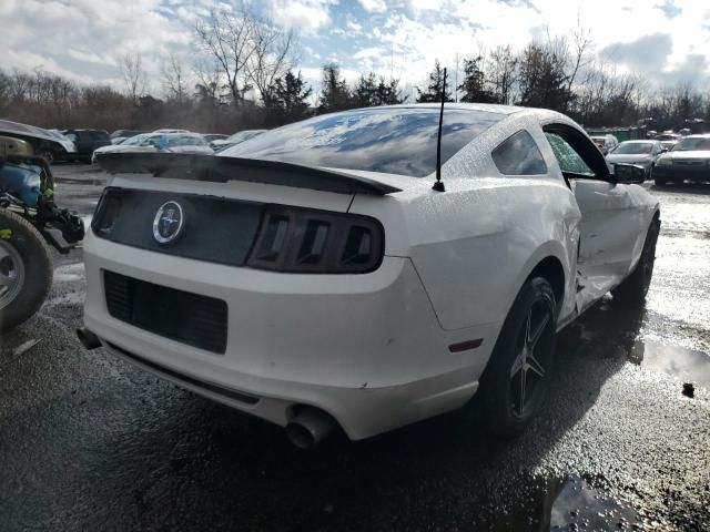 2013 Ford Mustang