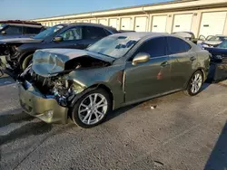 2006 Lexus IS 250 en venta en Louisville, KY