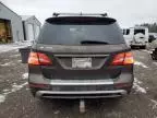 2012 Mercedes-Benz ML 350 Bluetec