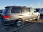 2010 Honda Odyssey EXL