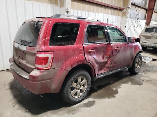 2011 Ford Escape Limited