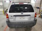 2005 Ford Escape XLT