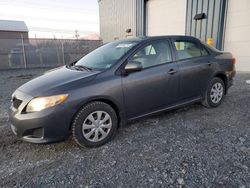 2009 Toyota Corolla Base en venta en Elmsdale, NS