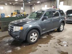 Salvage cars for sale at Blaine, MN auction: 2008 Ford Escape XLT