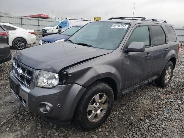 2011 Ford Escape Limited