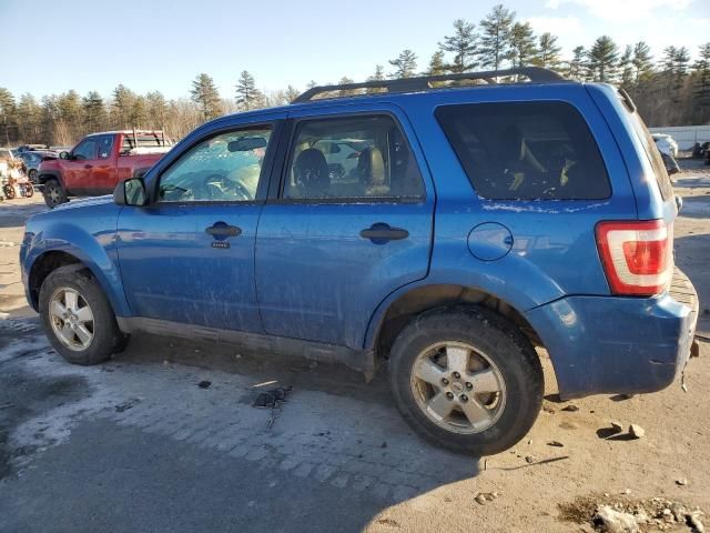 2011 Ford Escape XLT