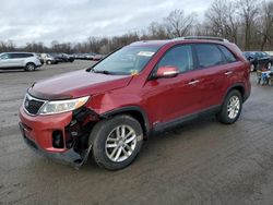 Salvage cars for sale at Ellwood City, PA auction: 2015 KIA Sorento LX