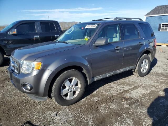 2010 Ford Escape XLT