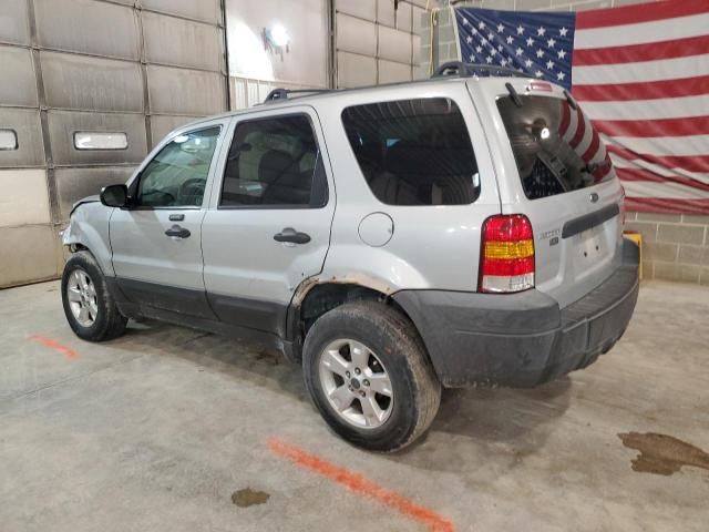 2005 Ford Escape XLT