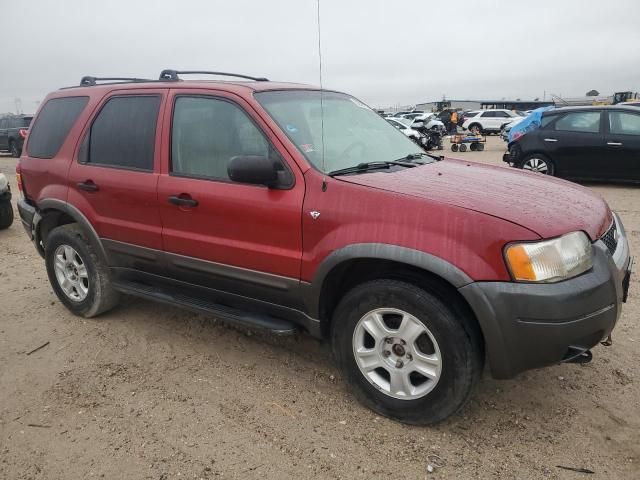 2003 Ford Escape XLT